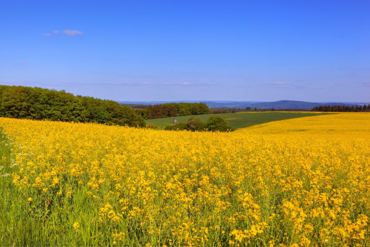918373 (a): :2940x1960